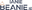 IanieBeanie.ie logo