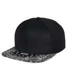 Fashion print snapback (6089DESIGNER)